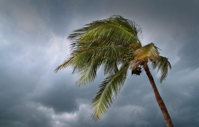What to Do Before a Tropical Storm Hits