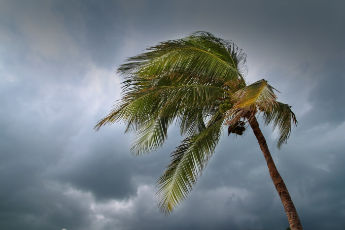 What to Do Before a Tropical Storm Hits