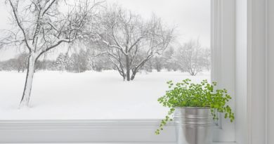 How to Stock Your Pantry for Winter
