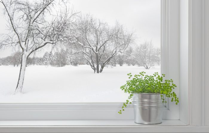 How to Stock Your Pantry for Winter