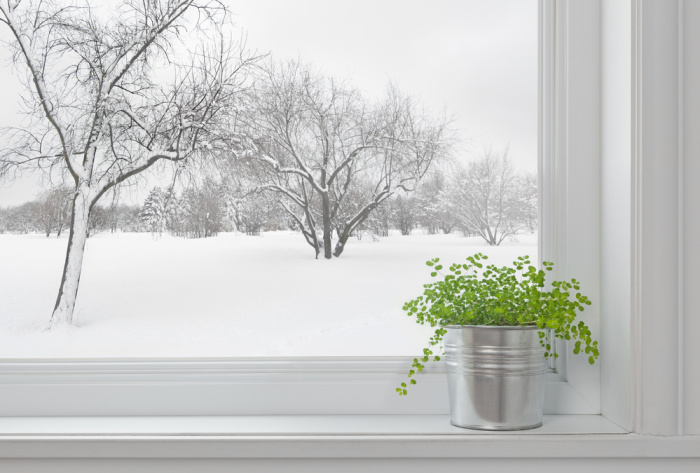 How to Stock Your Pantry for Winter