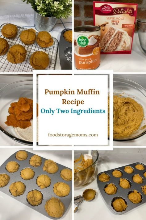 Pumpkin Muffin Recipe-Only Two Ingredients