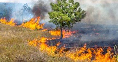 Top 5 Emergency Preparedness Tips for the Elderly
