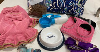 What to do With Your Pets in an Emergency