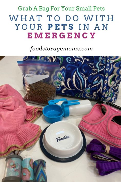 What to do With Your Pets in an Emergency