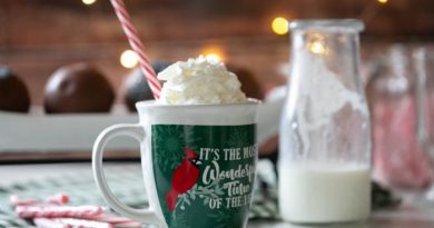 Hot Cocoa Bombs Are Easy To Make