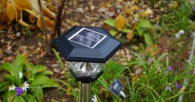 Solar Yard Lights
