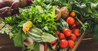 7 Tips for Sustainable Gardening