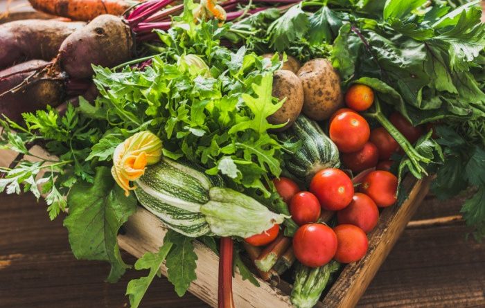7 Tips for Sustainable Gardening