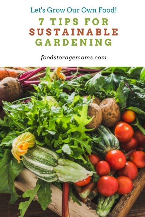 7 Tips for Sustainable Gardening