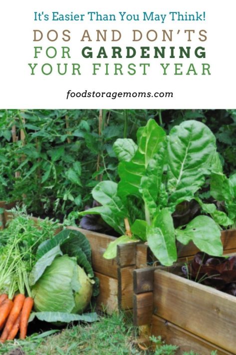 Dos and Don’ts for Gardening Your First Year