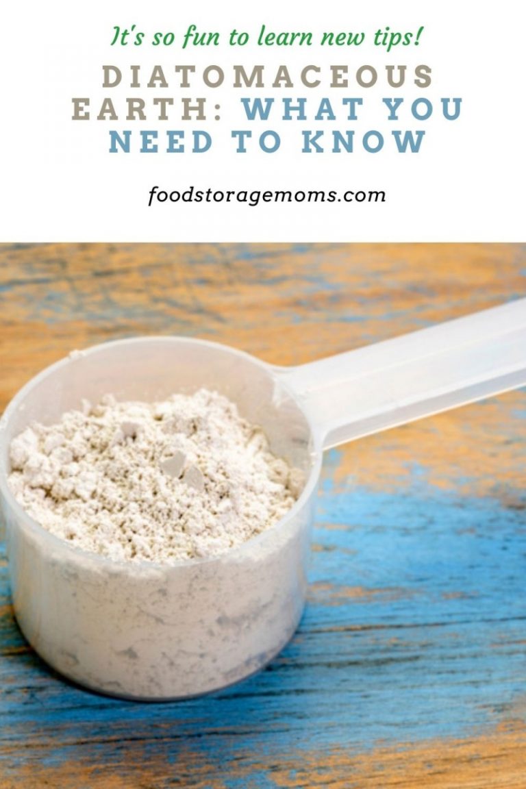 Diatomaceous Earth What You Need to Know Food Storage Moms