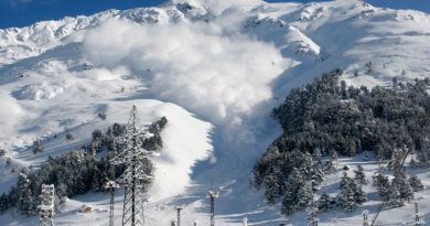 How to Survive an Avalanche