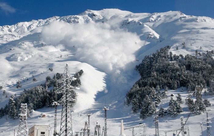 How to Survive an Avalanche