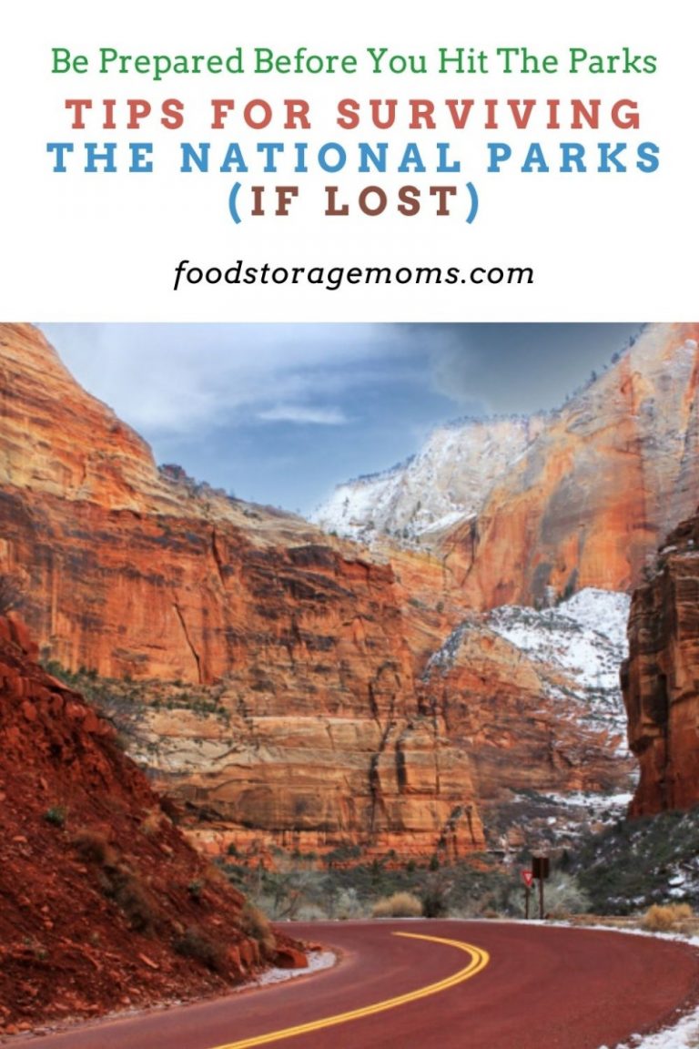 Tips for Surviving the National Parks (If Lost) Food Storage Moms(01)