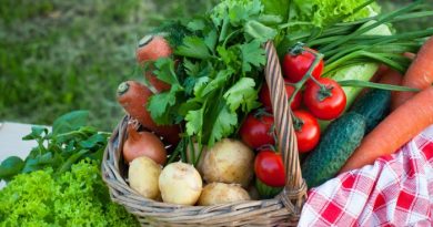 Easy Vegetables Anyone Can Grow
