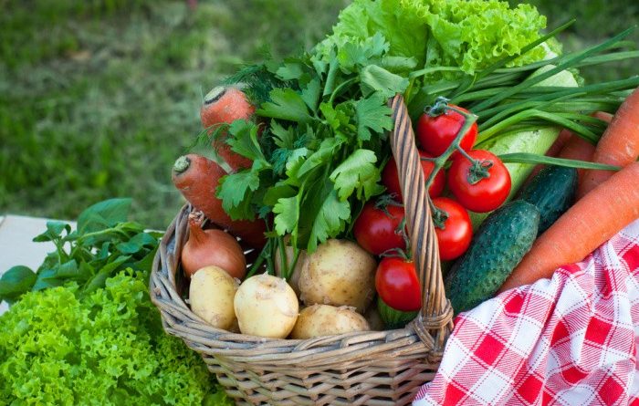 Easy Vegetables Anyone Can Grow