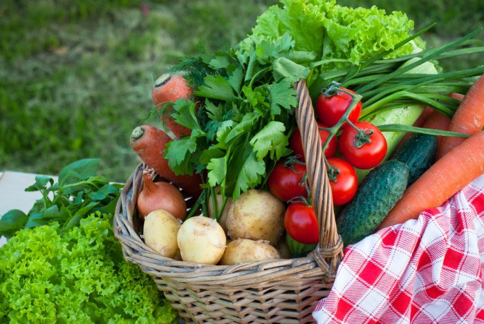 Easy Vegetables Anyone Can Grow