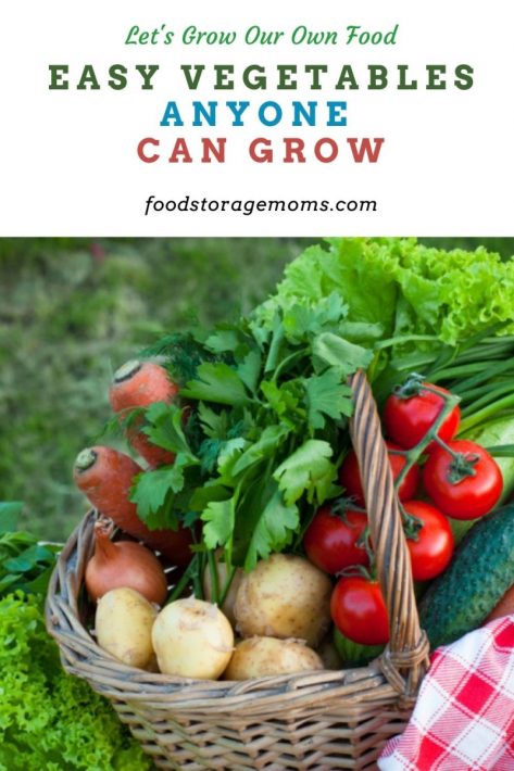 Easy Vegetables Anyone Can Grow