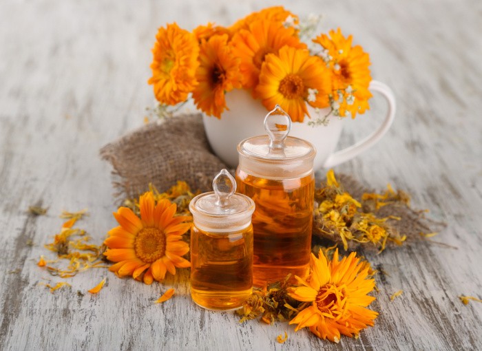 Calendula Flowers