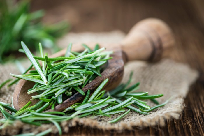 Rosemary Herbal Remedies Straight from the Garden  