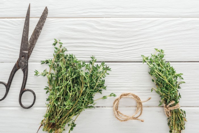 Thyme Herbal Remedies Straight from the Garden