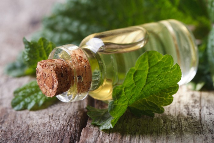 Lemon Balm Herbal Remedies