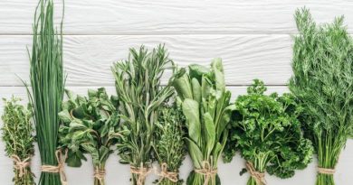 Herbs on White Board