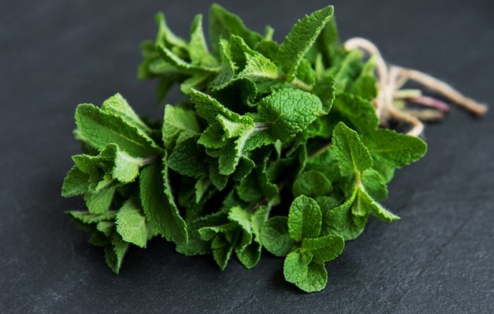 How To Grow Mint In Your Backyard