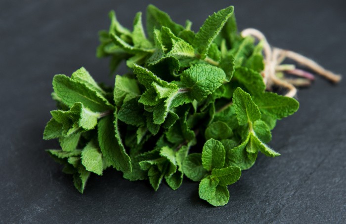 How to Grow Mint in Your Backyard