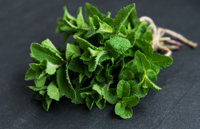 How To Grow Mint In Your Backyard