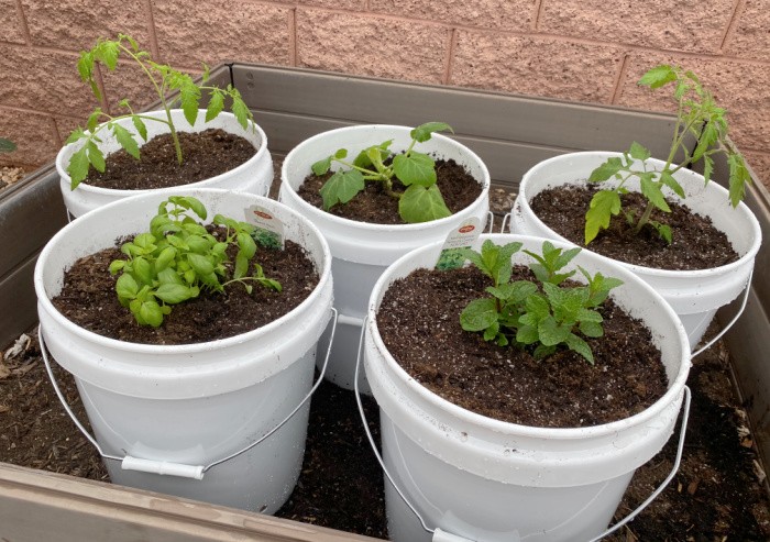 Black Recycled Garden Bucket - Small Size for sale