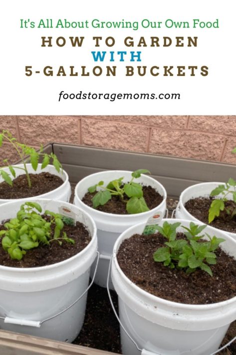 How to Compost in a 5-Gallon Bucket