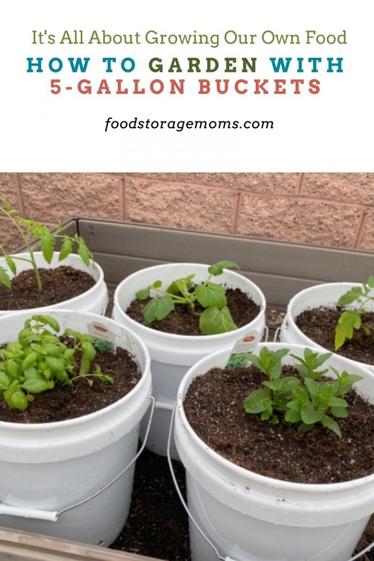 How to Garden With 5Gallon Buckets Food Storage Moms