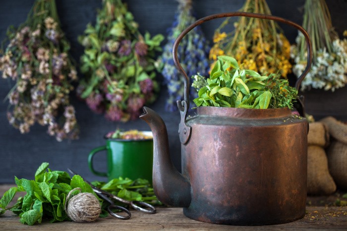 How to Grow Mint in Your Backyard