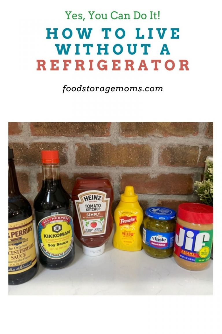 How to Live Without a Refrigerator Food Storage Moms