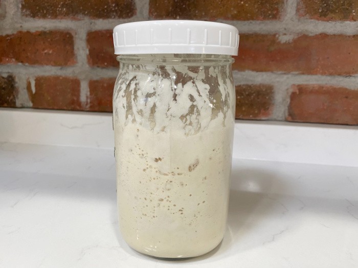 Sourdough Starter