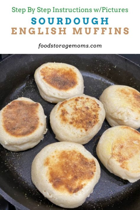 Sourdough English Muffins