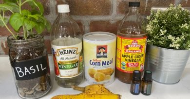 12 Natural Pest Remedies