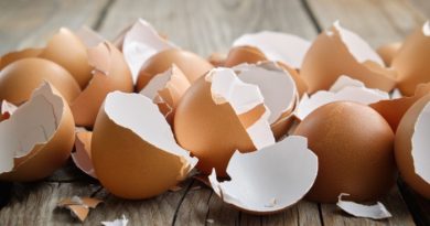 15 Surprising Uses for Eggshells for Your Home and Garden