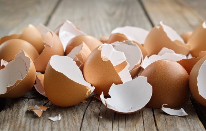 15 Surprising Uses for Eggshells for Your Home and Garden
