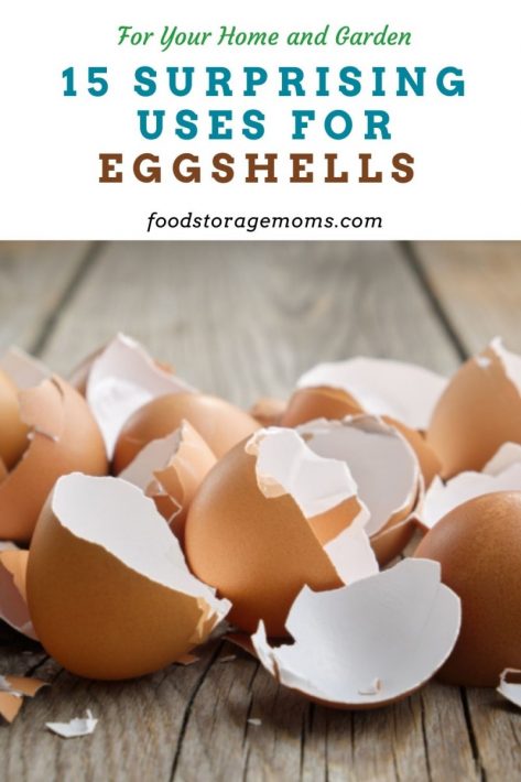 15 Surprising Uses for Eggshells for Your Home and Garden