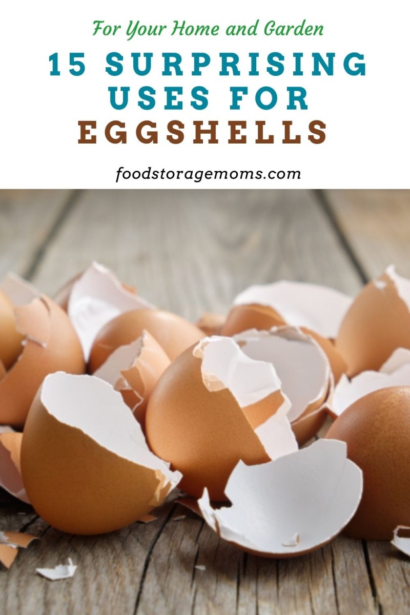 15 Surprising Uses for Eggshells Food Storage Moms