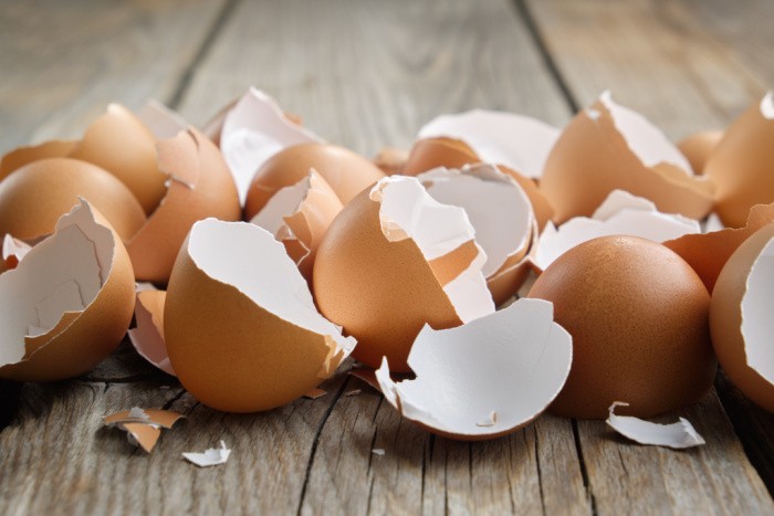 15 Surprising Uses for Eggshells for Your Home and Garden