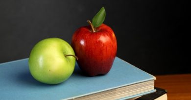 6 Guidelines for Essential Life Skills