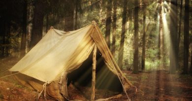 7 Ways to Build a Survival Shelter