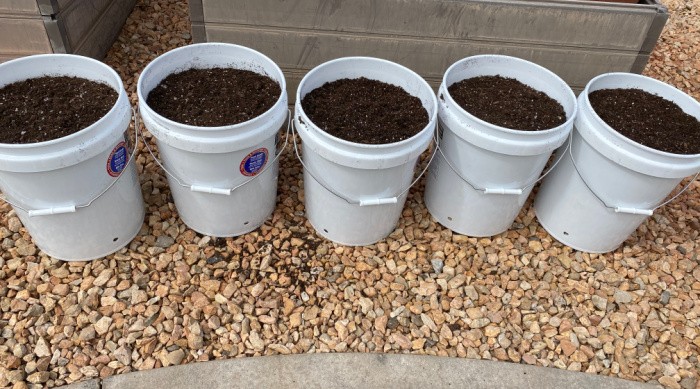 Buckets with Soil