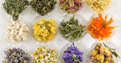 Herbal Plants for Tea