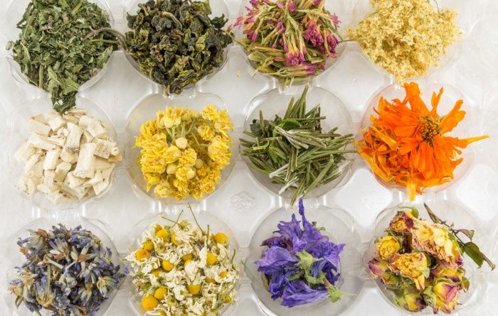 Herbal Plants for Tea