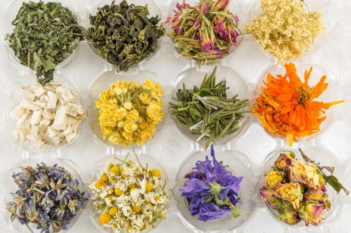 Herbal Plants for Tea